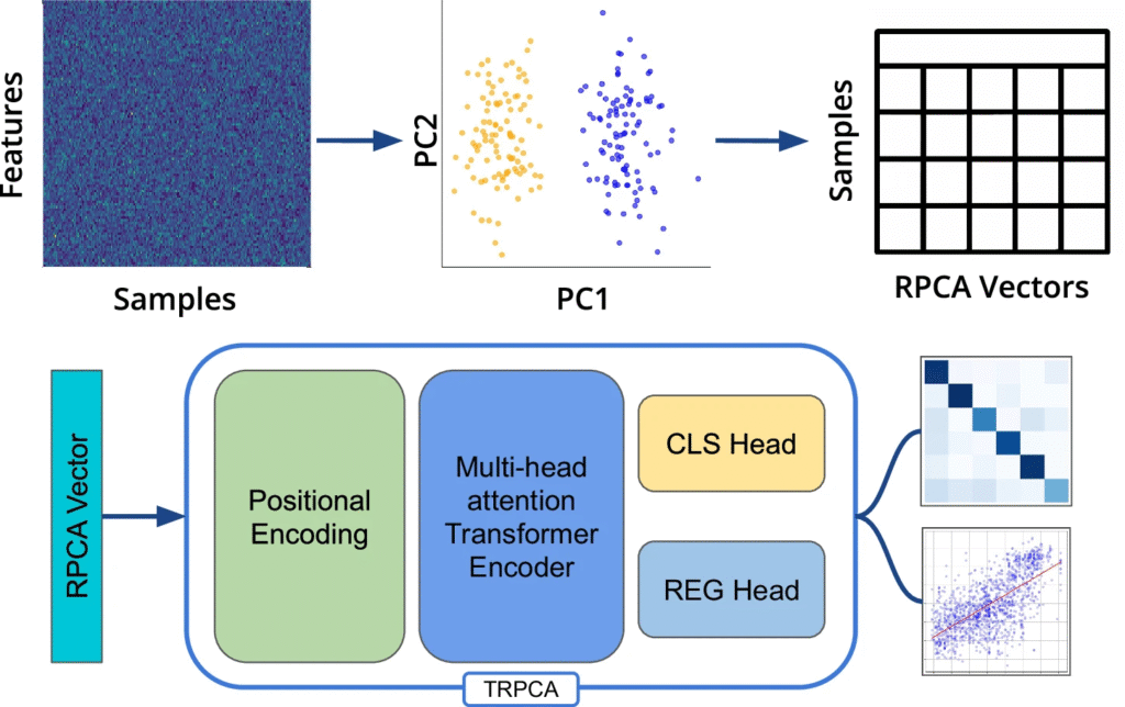New AI Model Predicts Age from Human Microbiomes with Improved Accuracy - Center for Microbiome Innovation